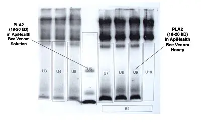 Reducing Allergenicity: Phospholipase A2 in Honey illustration